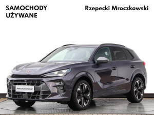 Miniaturka zdjęcia