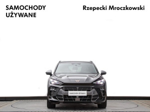 Miniaturka zdjęcia