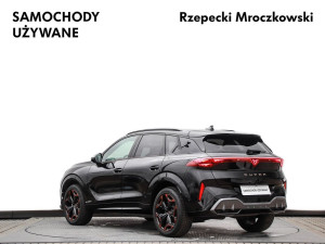 Miniaturka zdjęcia