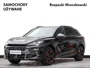Miniaturka zdjęcia