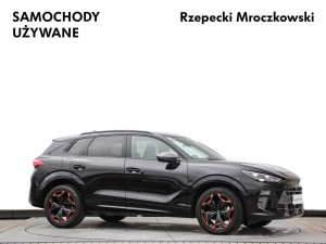 Miniaturka zdjęcia