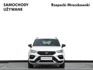 Miniaturka zdjęcia