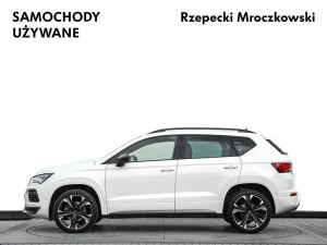 Miniaturka zdjęcia
