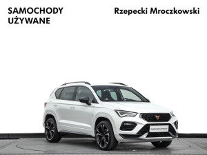 Miniaturka zdjęcia