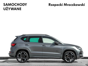 Miniaturka zdjęcia