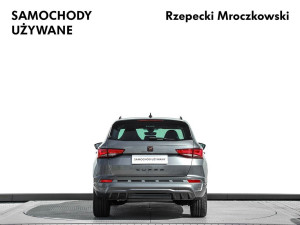 Miniaturka zdjęcia