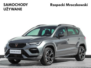 Miniaturka zdjęcia