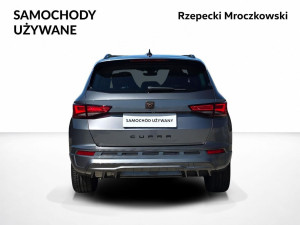 Miniaturka zdjęcia