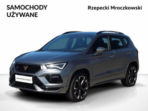 Miniaturka zdjęcia
