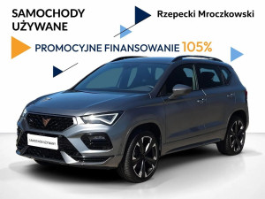 Miniaturka zdjęcia