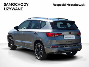 Miniaturka zdjęcia