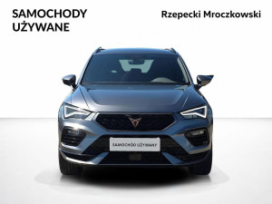 Miniaturka zdjęcia