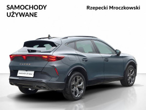 Miniaturka zdjęcia