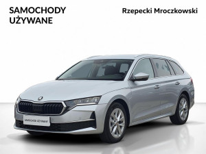 Miniaturka zdjęcia