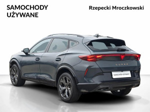 Miniaturka zdjęcia