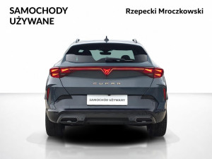 Miniaturka zdjęcia