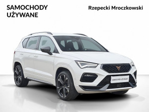 Miniaturka zdjęcia