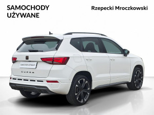 Miniaturka zdjęcia