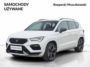 Miniaturka zdjęcia