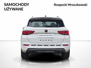 Miniaturka zdjęcia