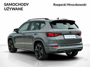 Miniaturka zdjęcia