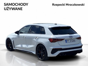 Miniaturka zdjęcia