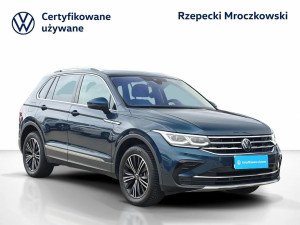 Miniaturka zdjęcia