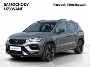 Miniaturka zdjęcia