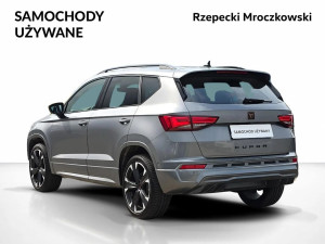 Miniaturka zdjęcia