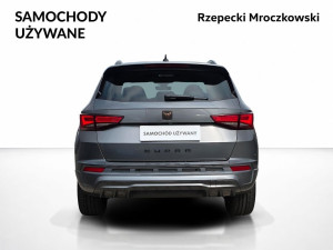 Miniaturka zdjęcia