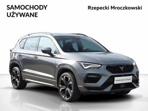 Miniaturka zdjęcia