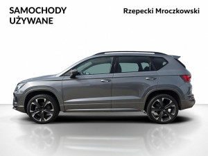 Miniaturka zdjęcia