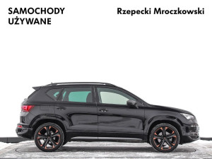 Miniaturka zdjęcia