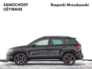 Miniaturka zdjęcia