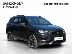 Miniaturka zdjęcia