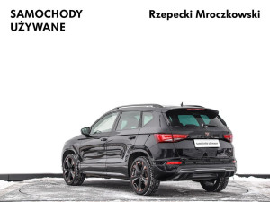 Miniaturka zdjęcia