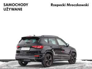 Miniaturka zdjęcia