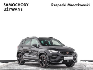 Miniaturka zdjęcia