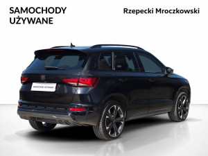 Miniaturka zdjęcia