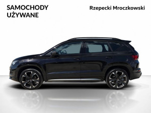 Miniaturka zdjęcia