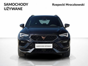 Miniaturka zdjęcia