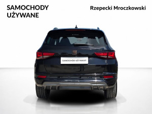 Miniaturka zdjęcia