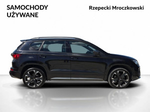 Miniaturka zdjęcia
