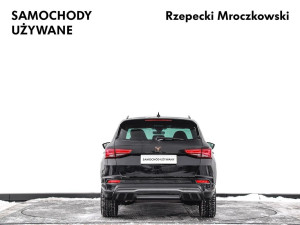 Miniaturka zdjęcia