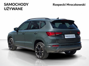 Miniaturka zdjęcia