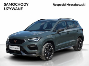 Miniaturka zdjęcia