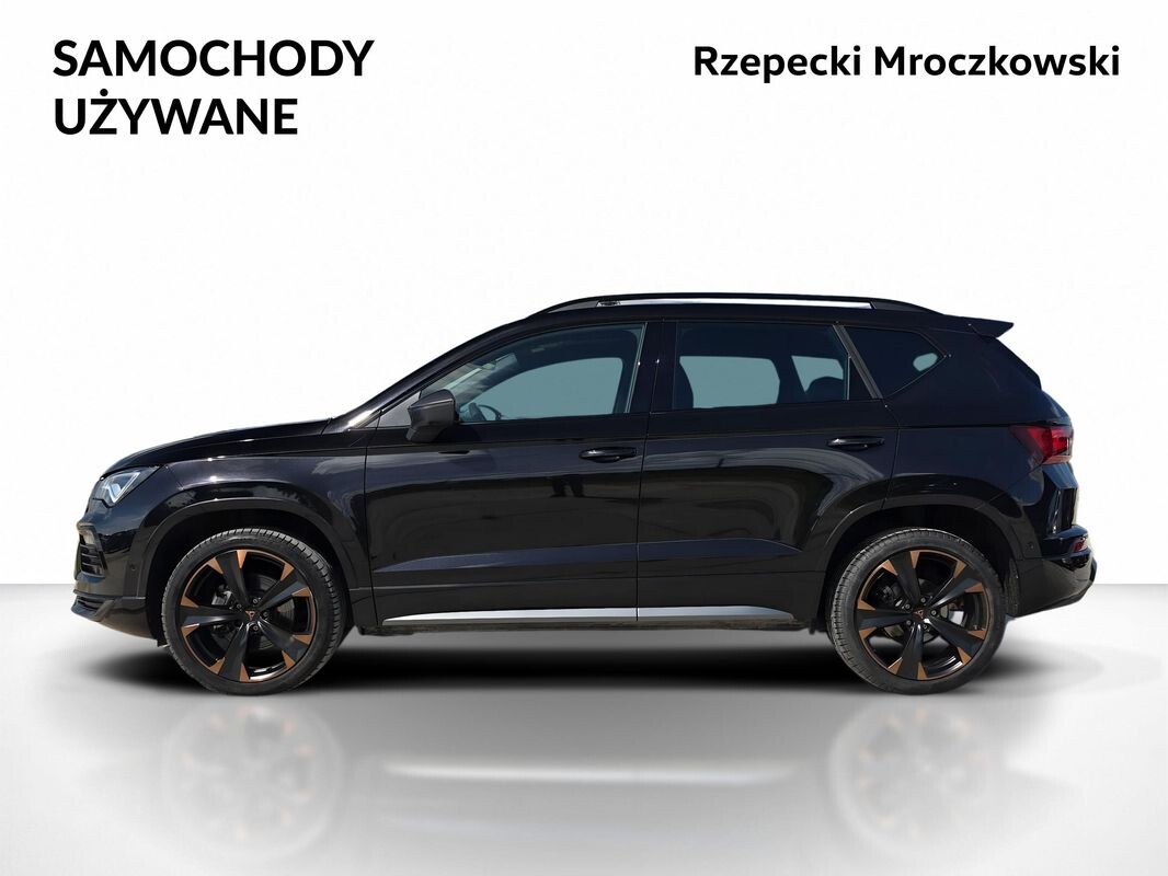 Główne zdjęcie