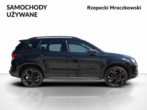 Miniaturka zdjęcia
