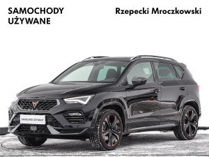 Miniaturka zdjęcia