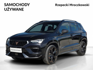 Miniaturka zdjęcia